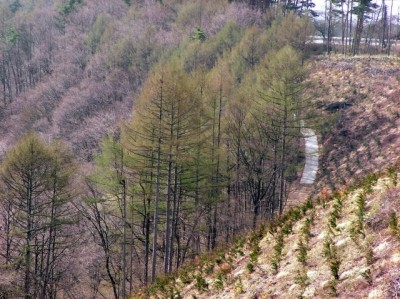 SANYO DIGITAL CAMERA