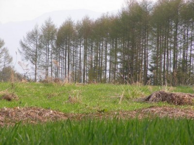 SANYO DIGITAL CAMERA