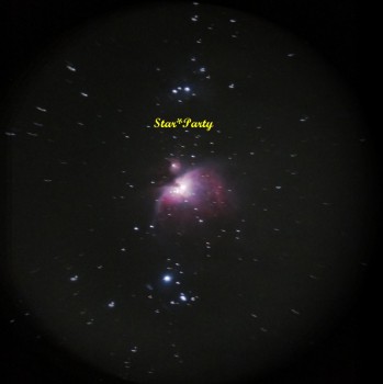 110324M42_431_435_451_455